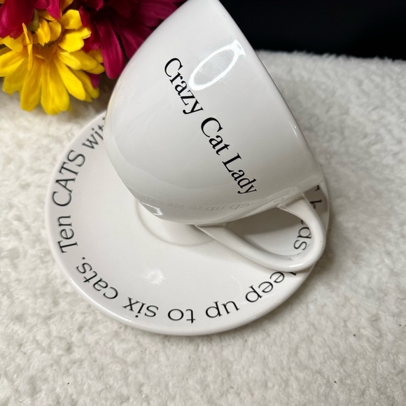 2 Pieces, 1 Large “Crazy Cat Lady” Mug & A Large Very Fine Cat Fluffy Saucer - Picture 5 of 8